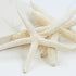 white glitter starfish